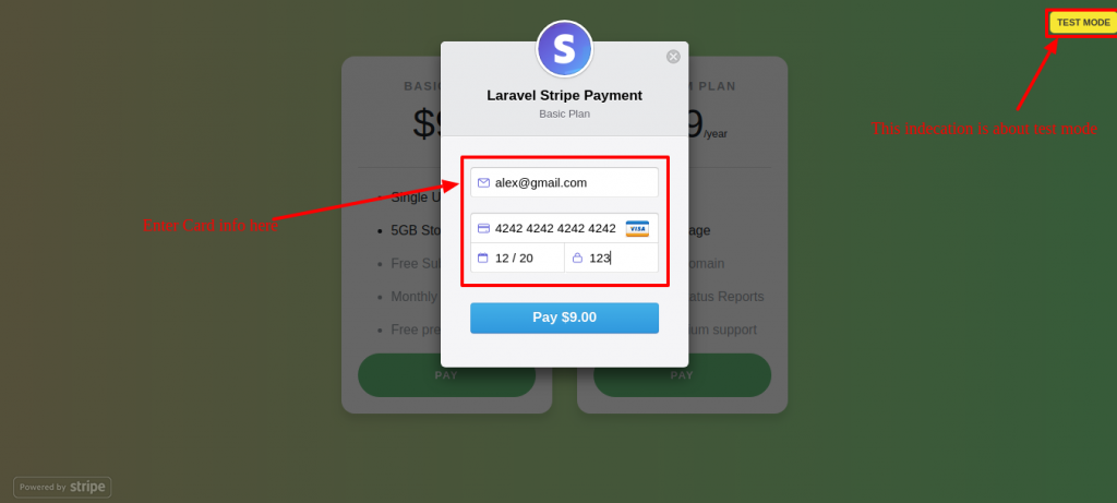 Payment popup using stripe checkout
